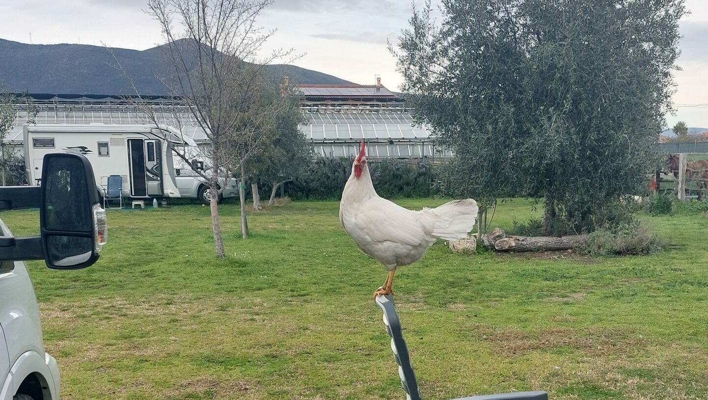 Agricamping Lo Zafferano